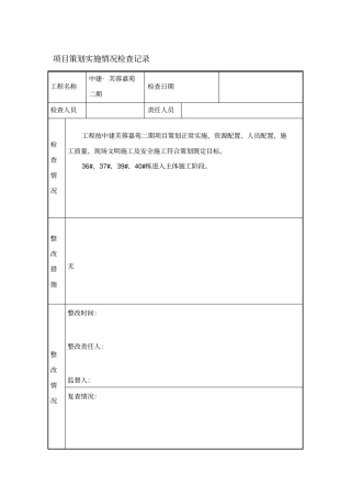 项目策划实施情况检查记录