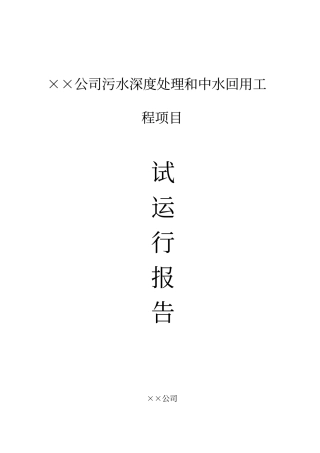 项目试运行报告或记录