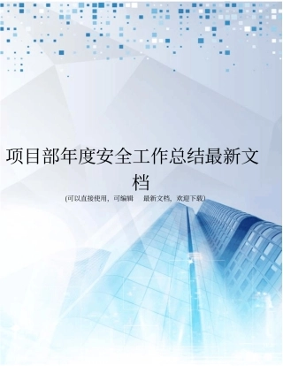 项目部年安全工作总结最新文档