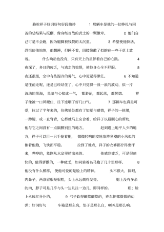 骆驼祥子好词好句好段摘抄