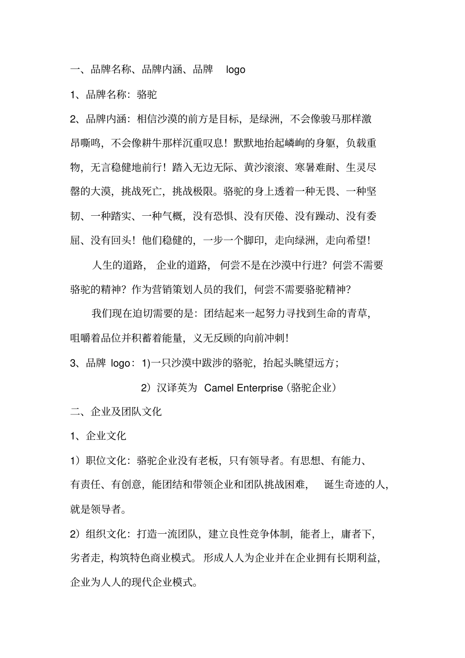 骆驼营销策划工作室策划方案_第2页