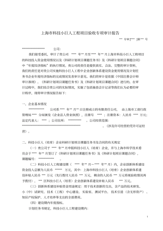 验收专项审计报告模板