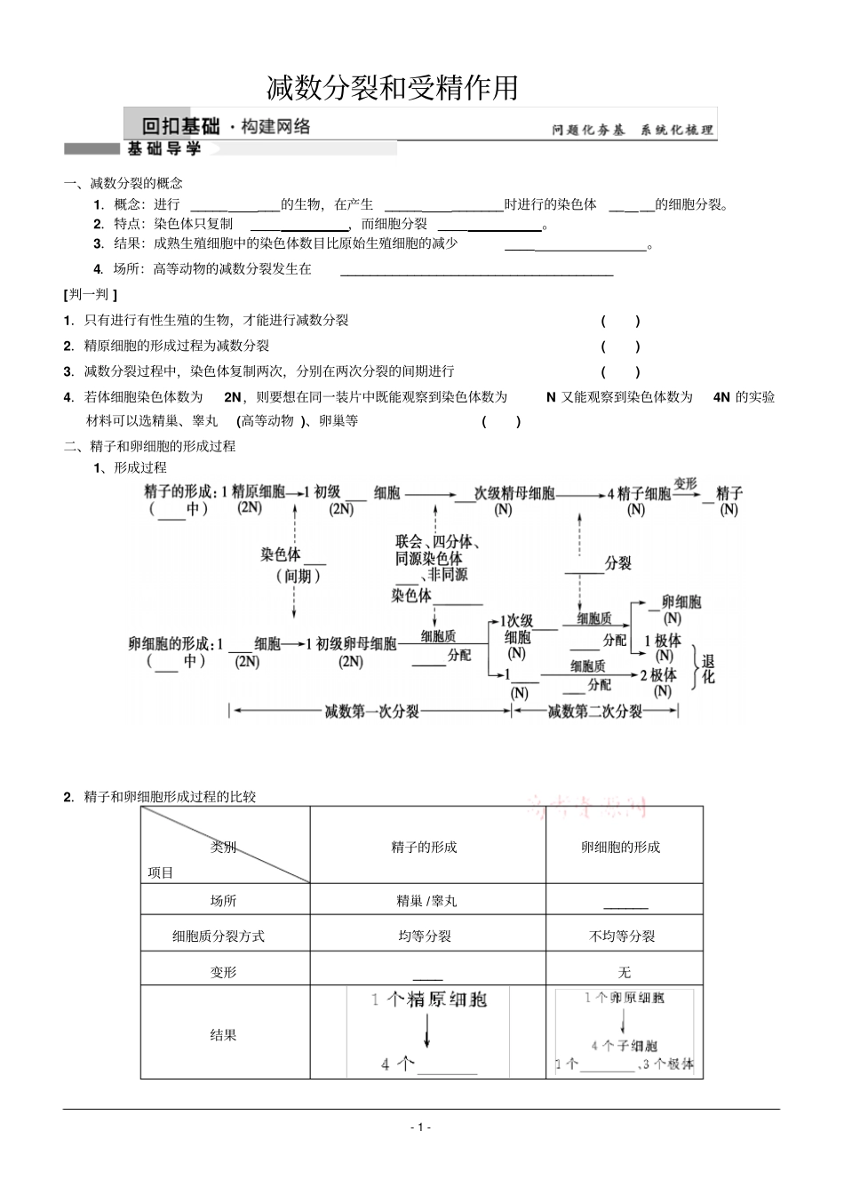 高三生物一轮复习学案减数分裂和受精作用讲义_第1页