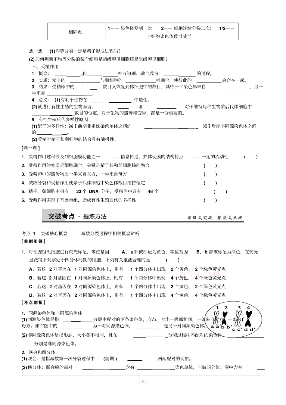 高三生物一轮复习学案减数分裂和受精作用讲义_第2页