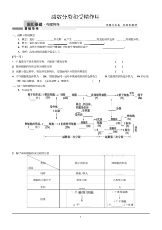 高三生物一轮复习学案减数分裂和受精作用讲义