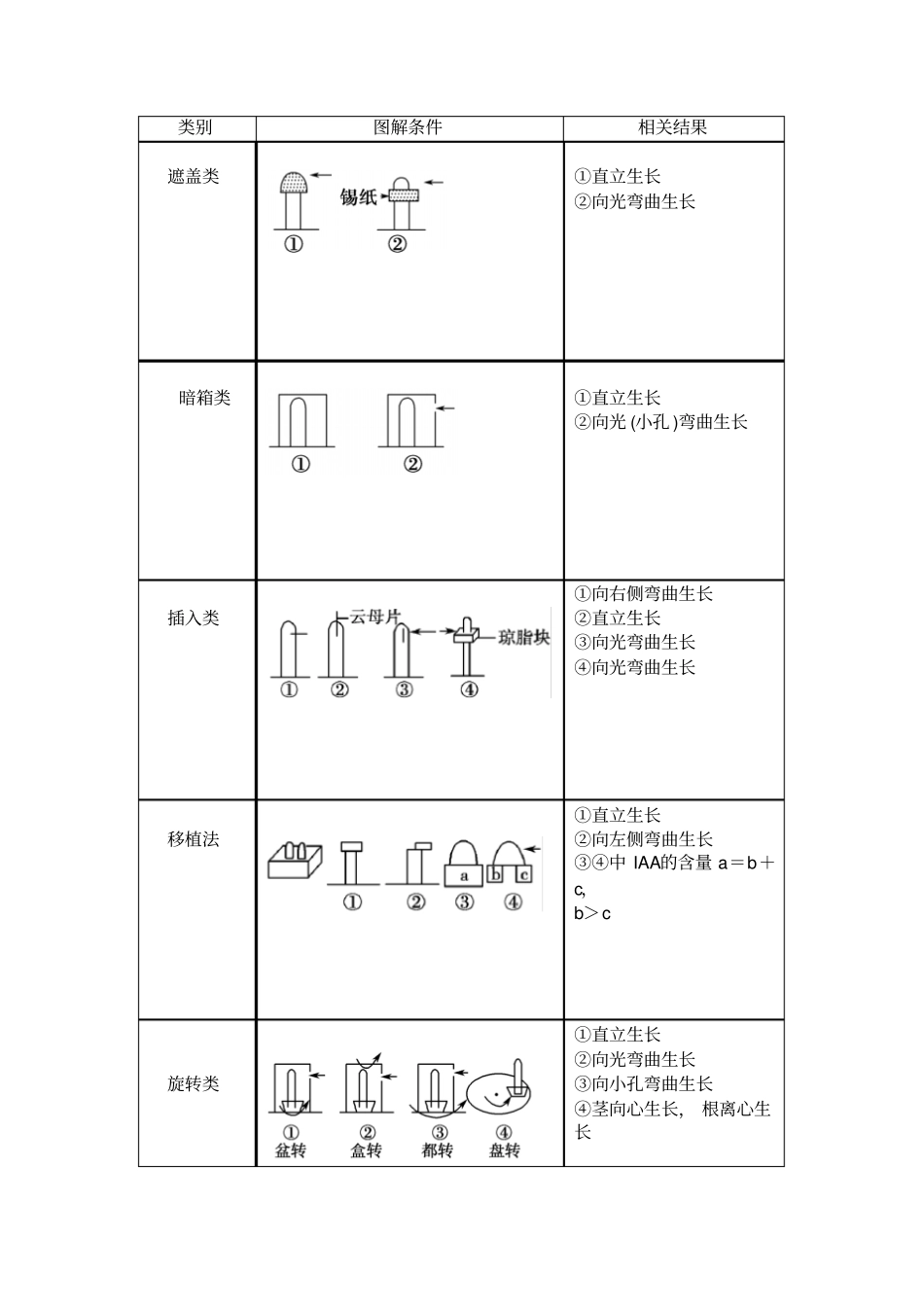 高三生物一轮复习导学案：植物生长素的发现_第3页
