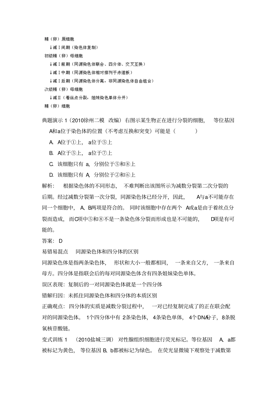 高三生物一轮复习导学案：减数分裂和受精作用_第2页