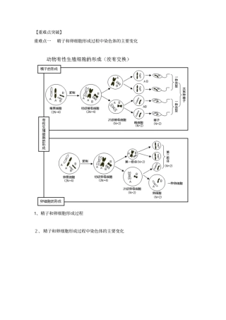 高三生物一轮复习导学案：减数分裂和受精作用