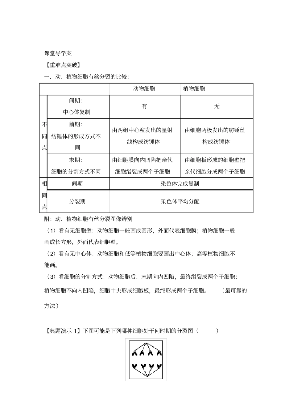 高三生物一轮复习导学案：细胞增殖_第1页