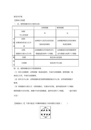 高三生物一轮复习导学案：细胞增殖
