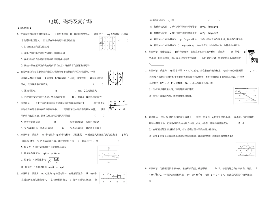 高中物理专题：电场磁场与复合场_第1页