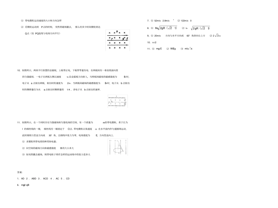 高中物理专题：电场磁场与复合场_第2页