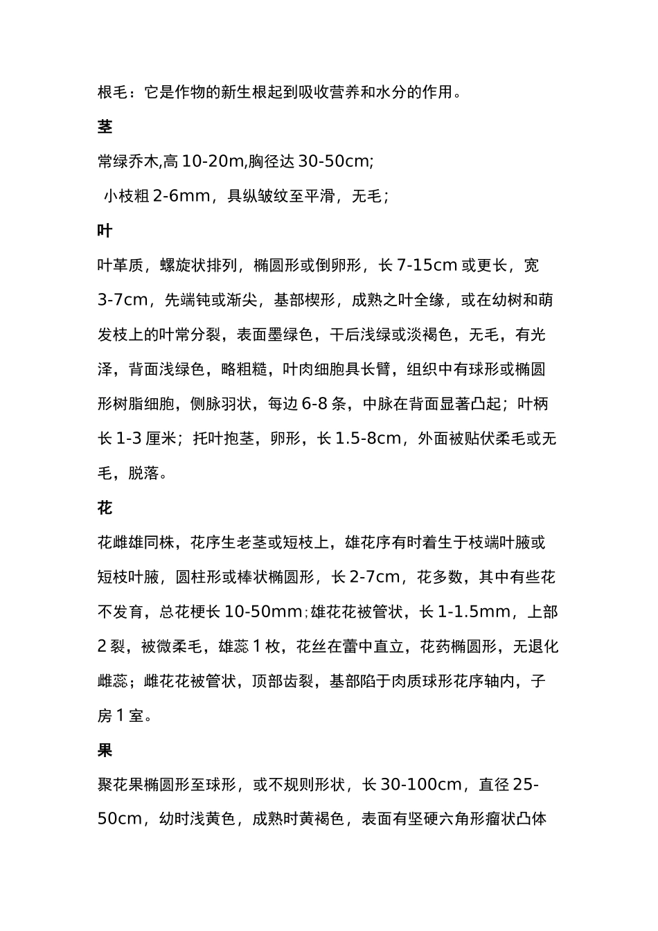 菠萝蜜种植相关知识详解_第3页