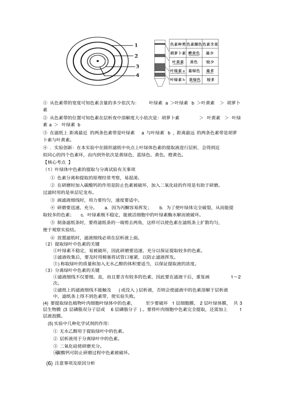 高中生物--必修光合作用-知识点全面总结-20_第3页