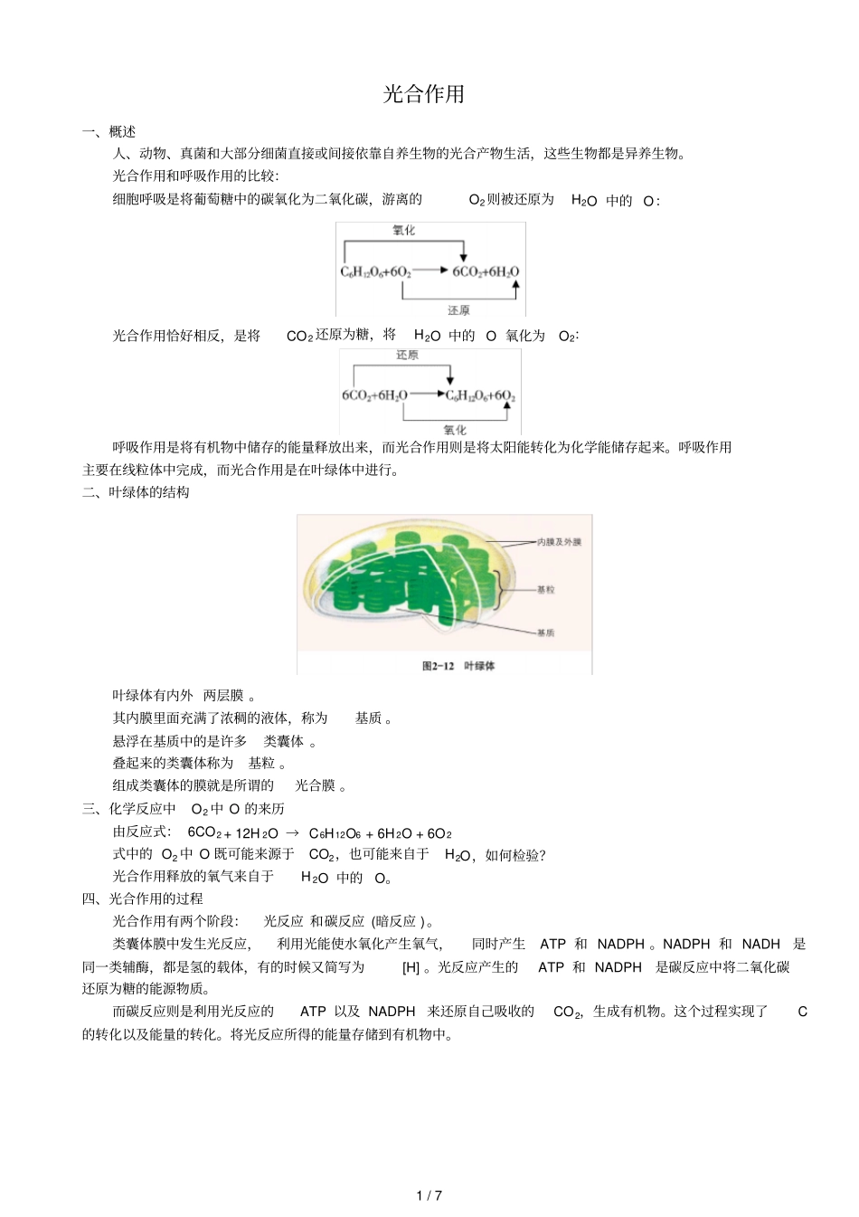 高中生物光合作用复习考试_第1页