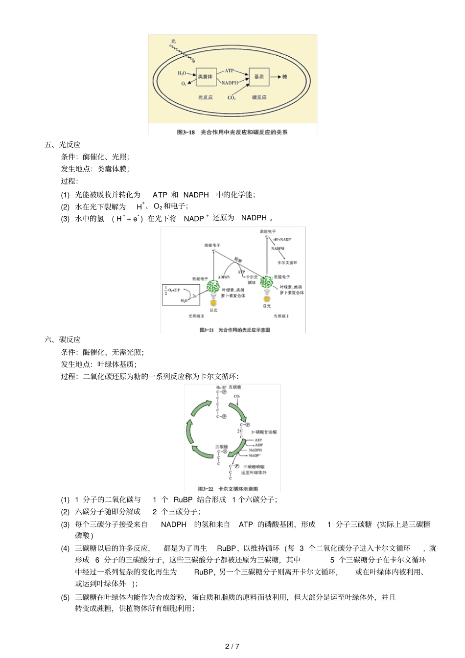 高中生物光合作用复习考试_第2页