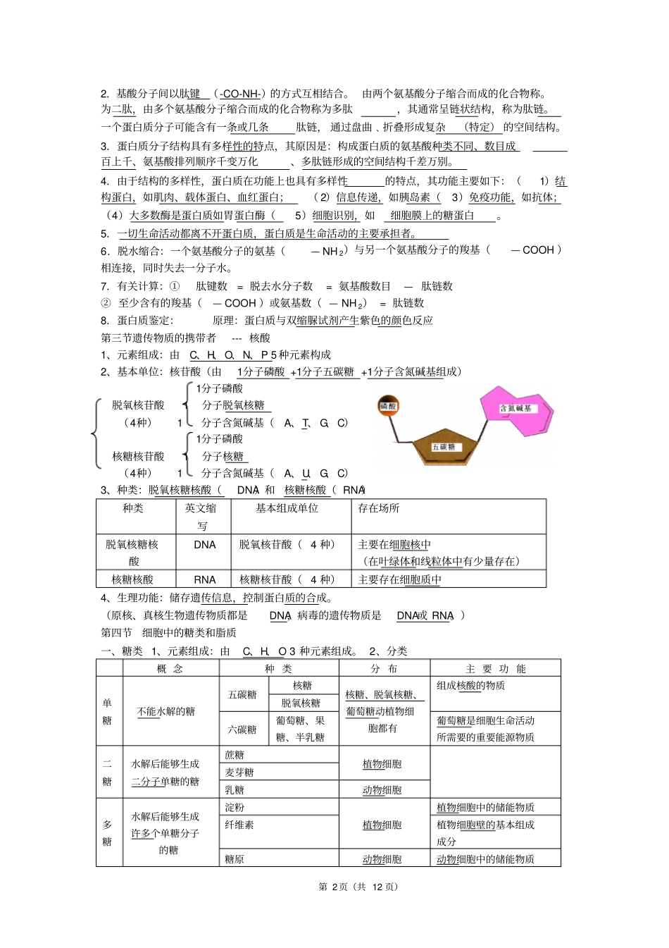 高中生物必修1分子与细胞知识点2013整理人：陆保宗讲义_第2页