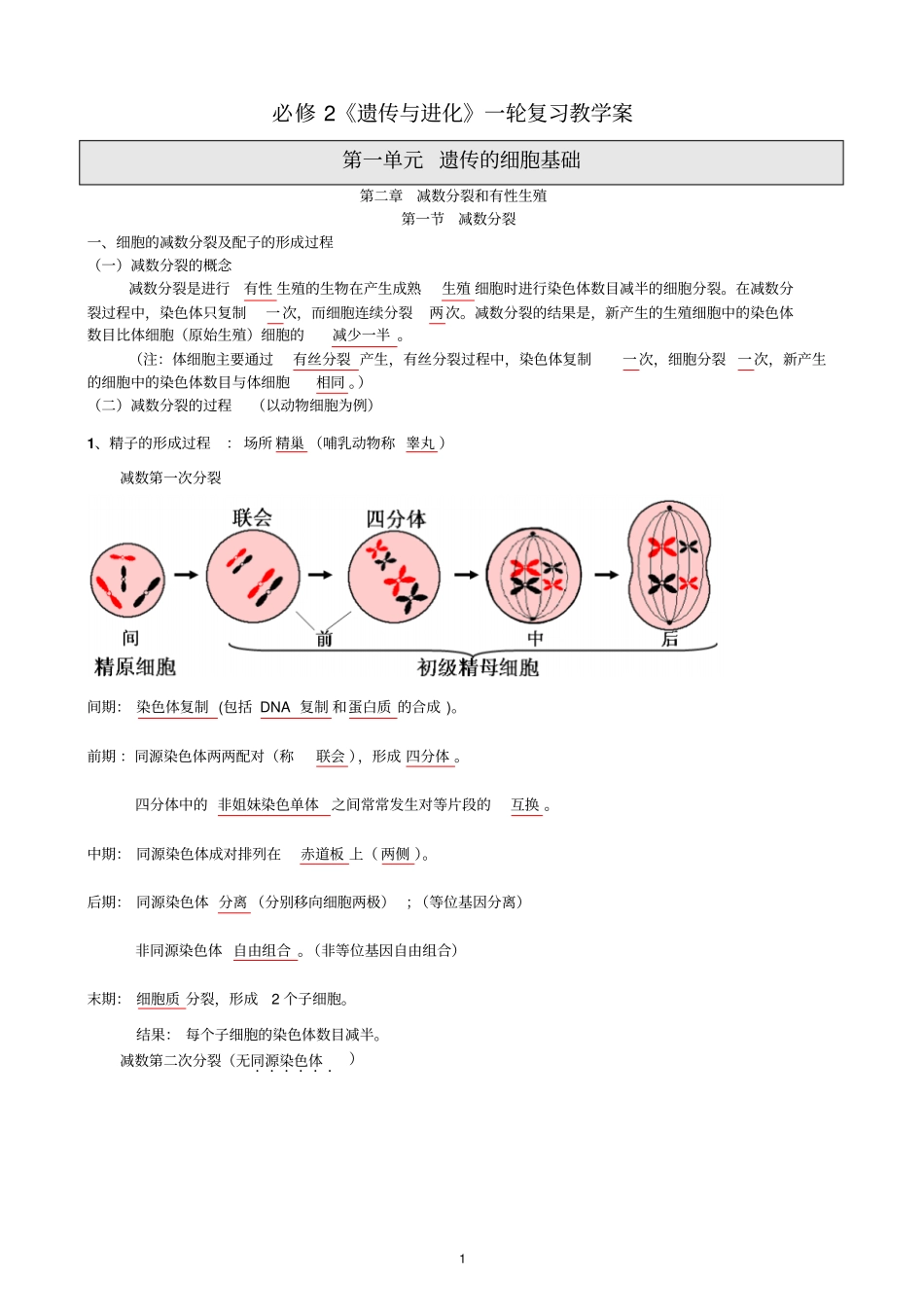 高中生物必修2遗传与变异第一轮复习知识梳理高一打印_第1页