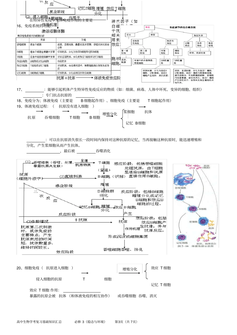 高中生物必修3知识点总结填空_第3页