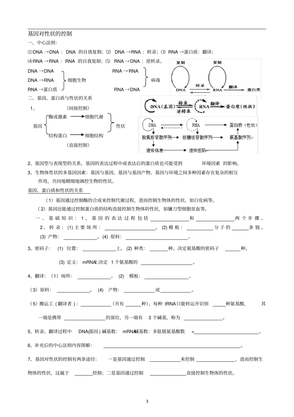 高中生物必修二基因的表达复习学案复习提纲_第3页