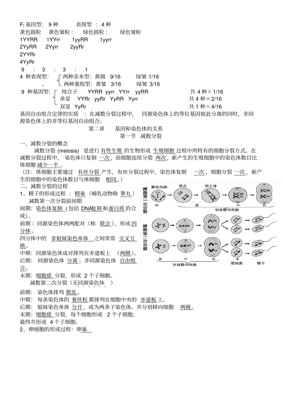 高中生物必修二知识点总结最全版_第2页