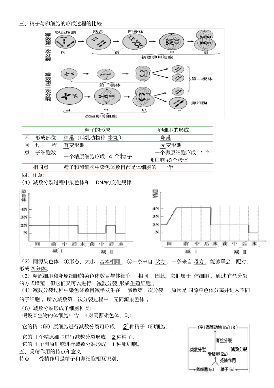 高中生物必修二知识点总结最全版_第3页