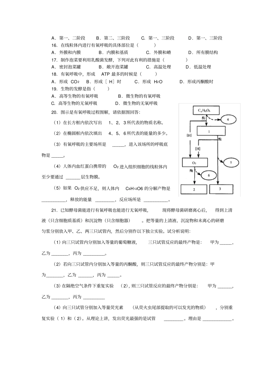 高中生物细胞呼吸试题及答案_第2页