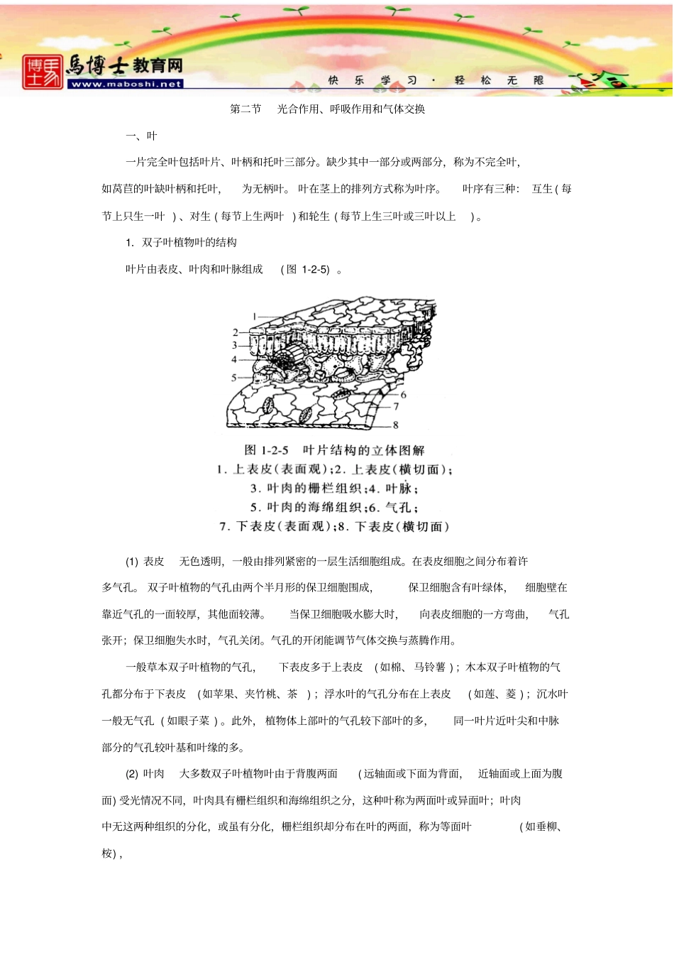 高中生物竞赛培优教程：光合作用、呼吸作用和气体交换全解_第3页