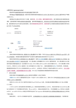 基因表达与调控