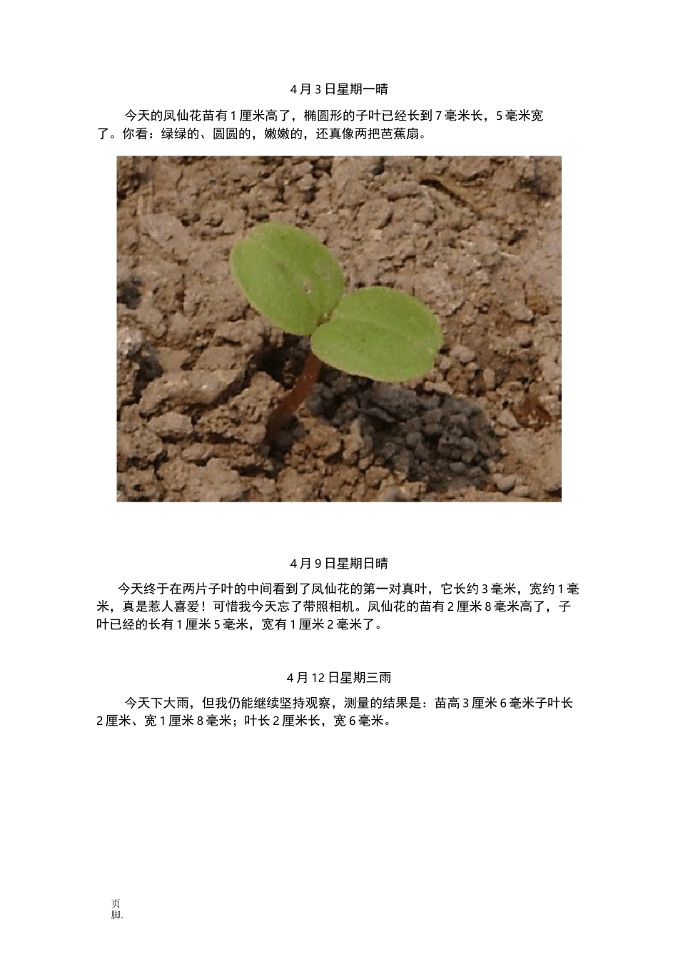 凤仙花的发芽与生长的观察记录表_第3页