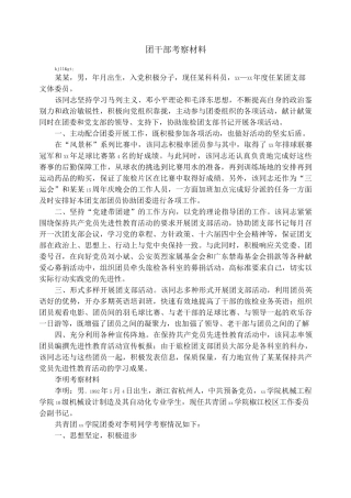 团干部考察材料