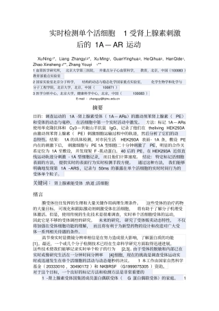 高效实时检测单个活细胞受肾上腺素刺激后的AAR运动