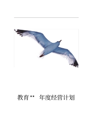 高端培训机构2018年经营规划书