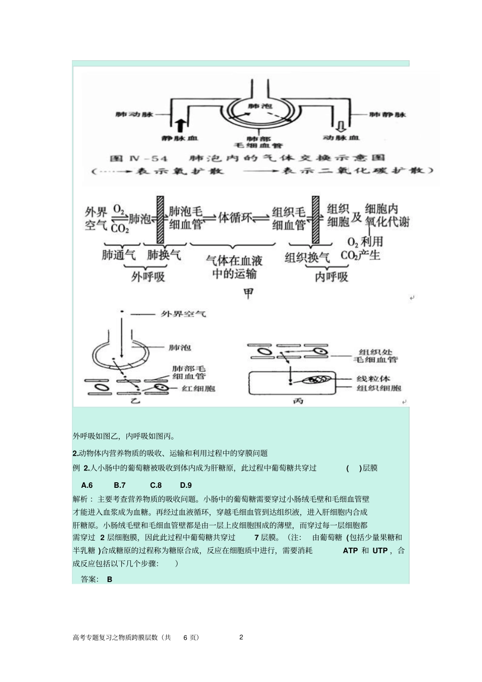 高考物质跨膜数量的计算资料_第2页