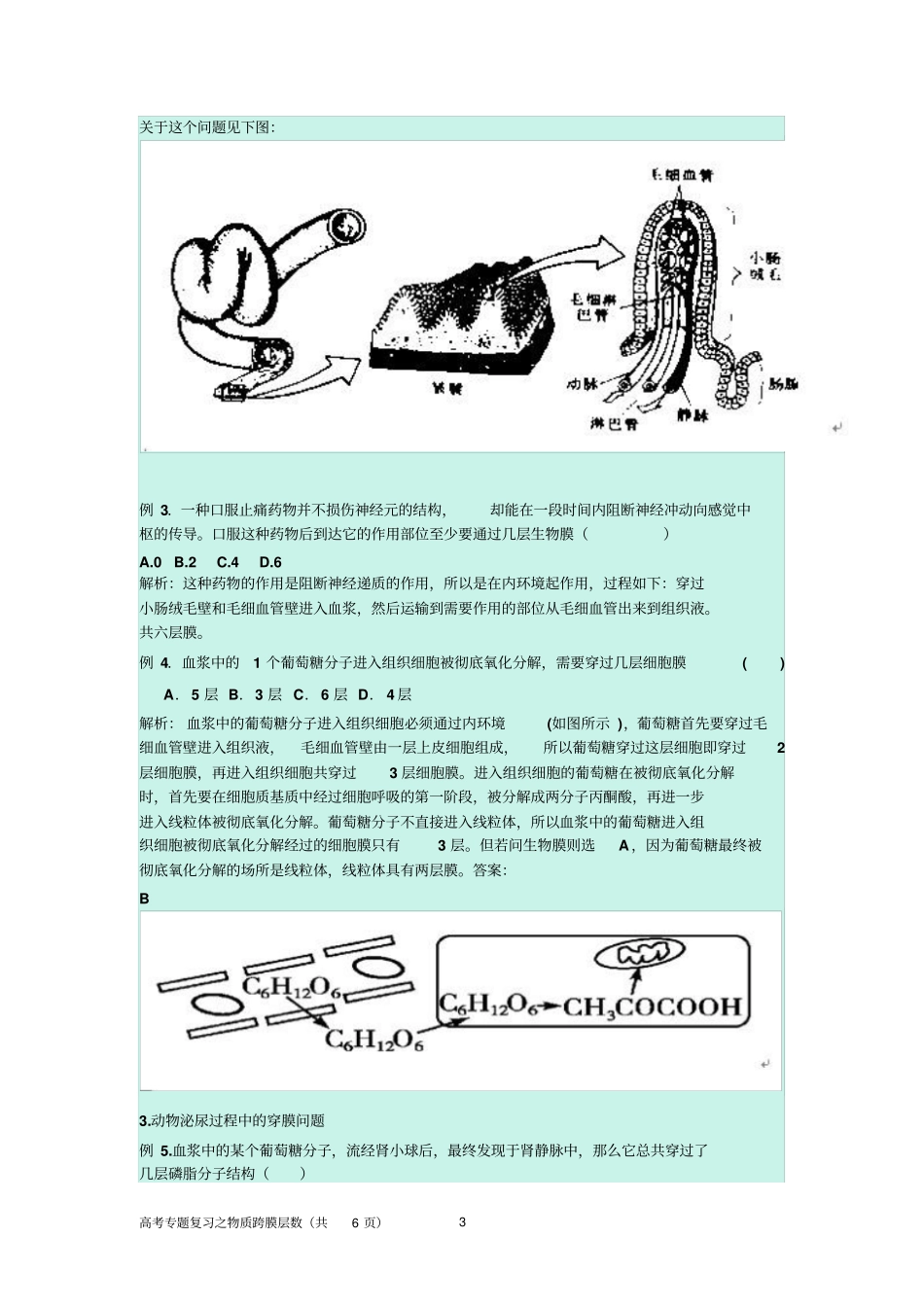 高考物质跨膜数量的计算资料_第3页