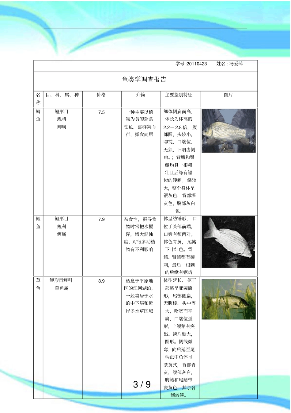 鱼类调查报告_第3页