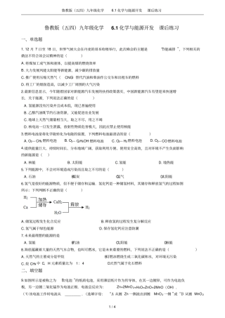 鲁教版五四九年级化学1化学与能源开发课后练习