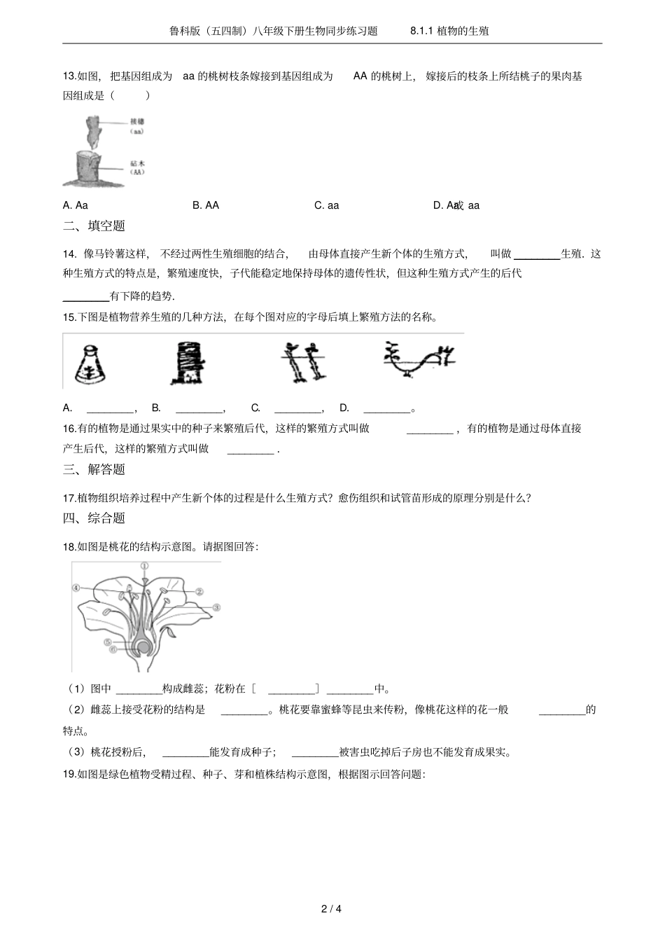 鲁科版五四制八年级下册生物同步练习题81植物的生殖_第2页