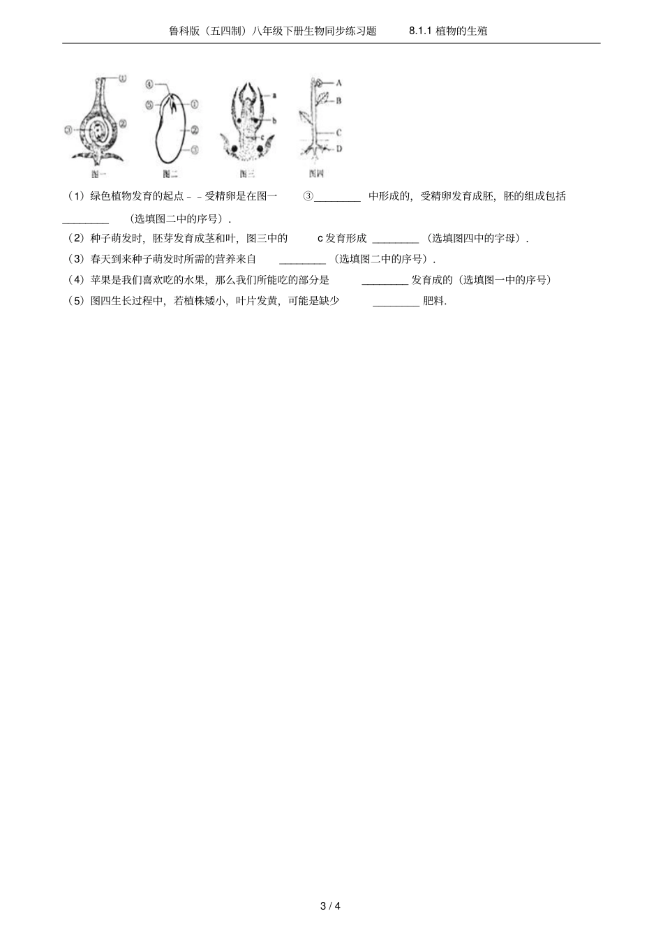 鲁科版五四制八年级下册生物同步练习题81植物的生殖_第3页