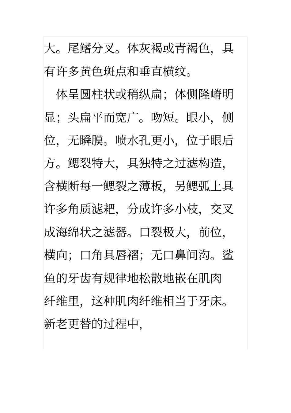 鲸鲨的资料全解_第2页