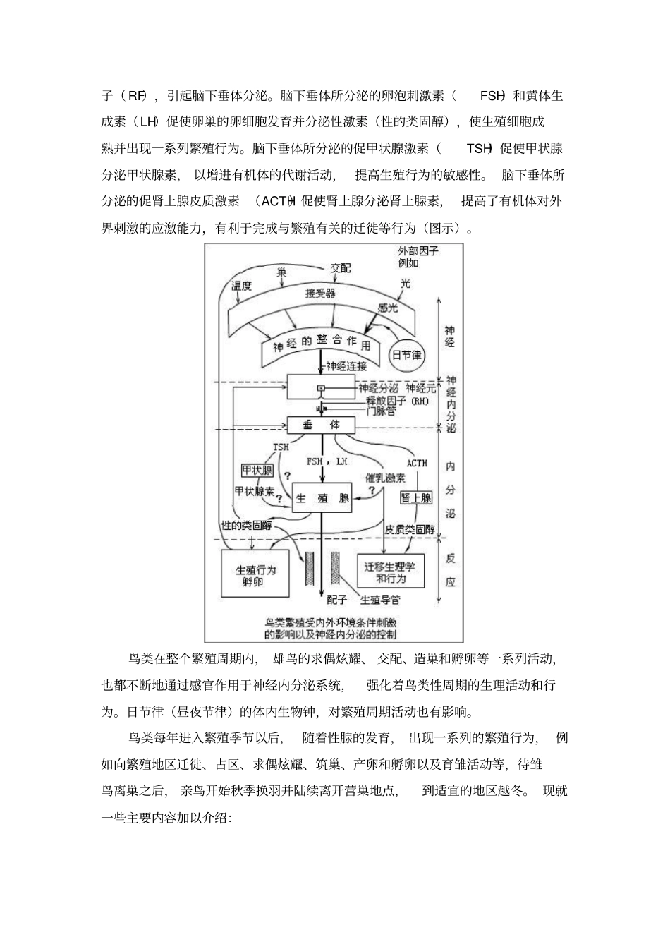 鸟类的繁殖、生态及迁徙_第2页