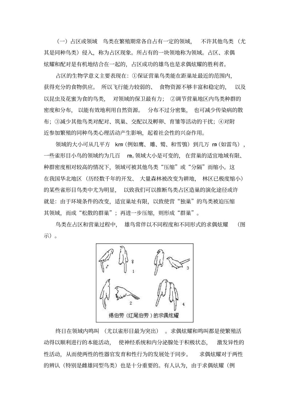 鸟类的繁殖、生态及迁徙_第3页