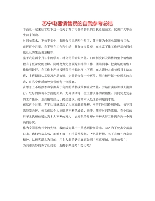 苏宁电器销售员的自我参考总结 