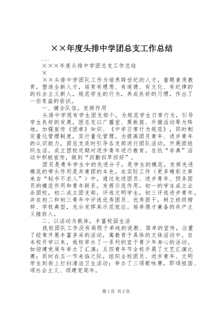 ××年度头排中学团总支工作总结
