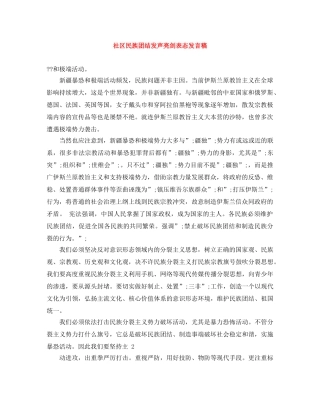 社区民族团结发声亮剑表态发言稿 