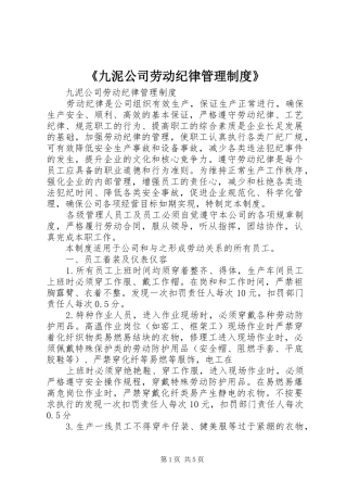 《九泥公司劳动纪律管理制度》