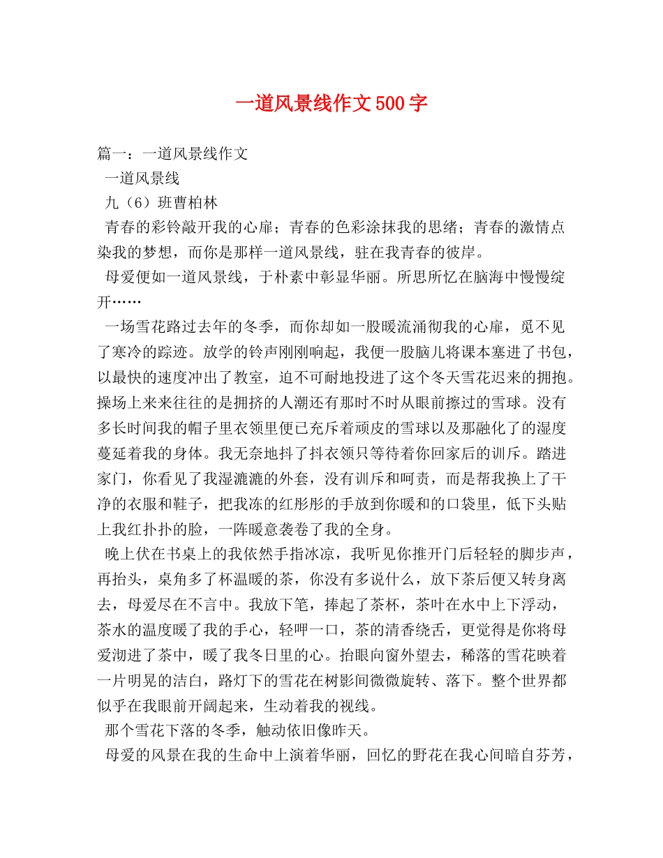 一道风景线作文500字 _第1页