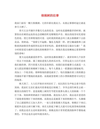 核桃树的往事 