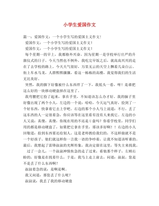 小学生爱国作文 