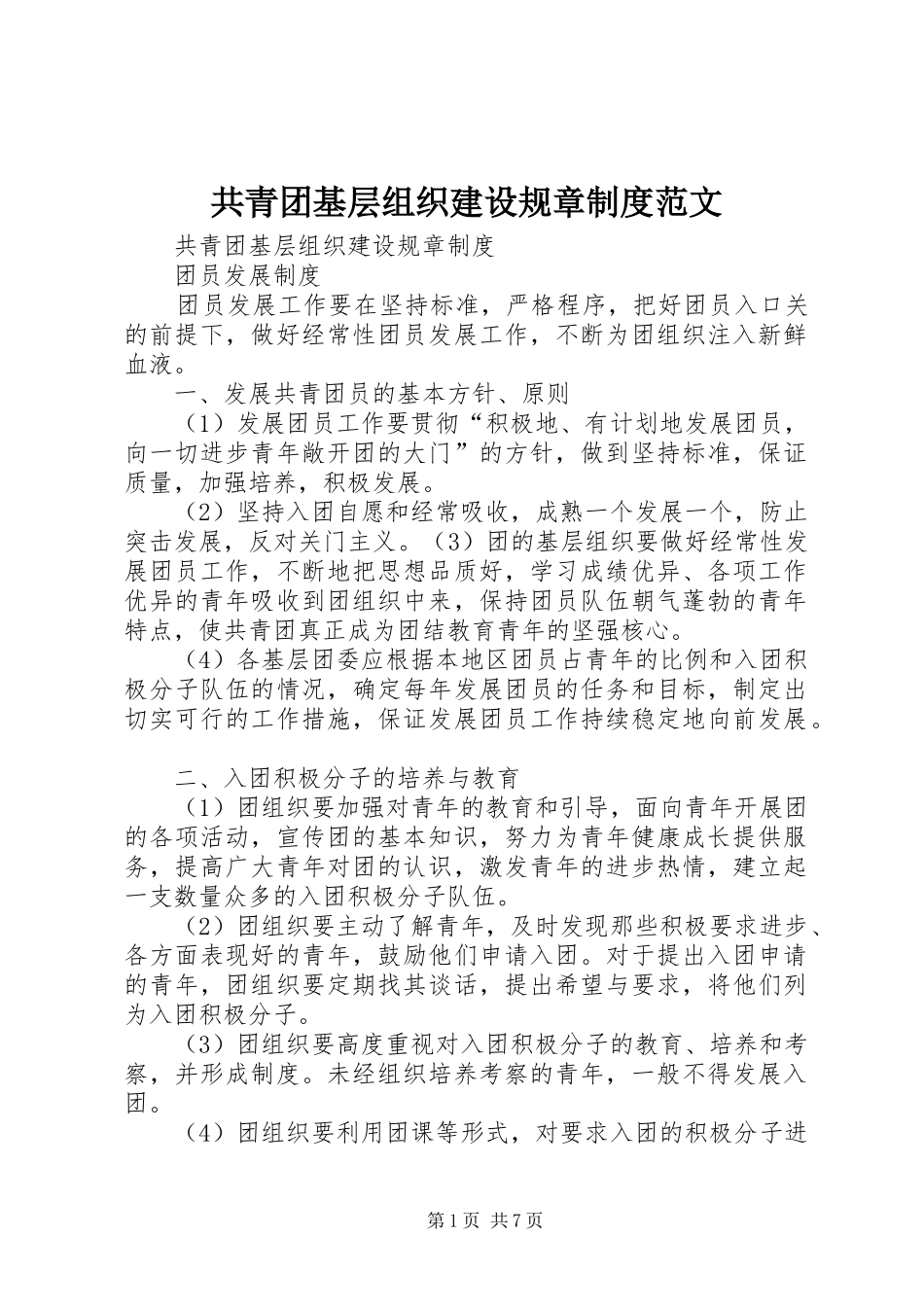 共青团基层组织建设规章制度范文_第1页